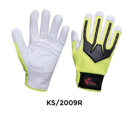 KS/2009R